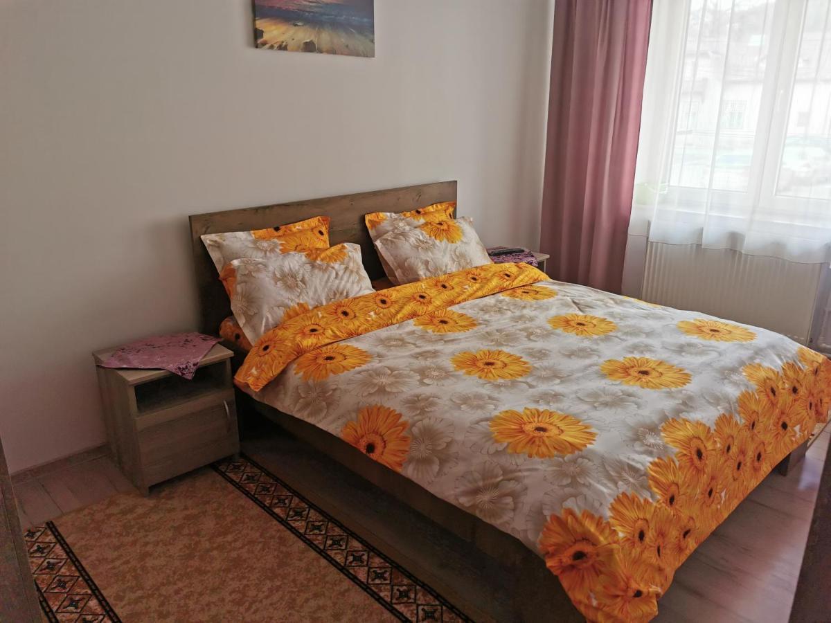 Ferienwohnung Apartament Bucovina Câmpulung Moldovenesc Exterior foto