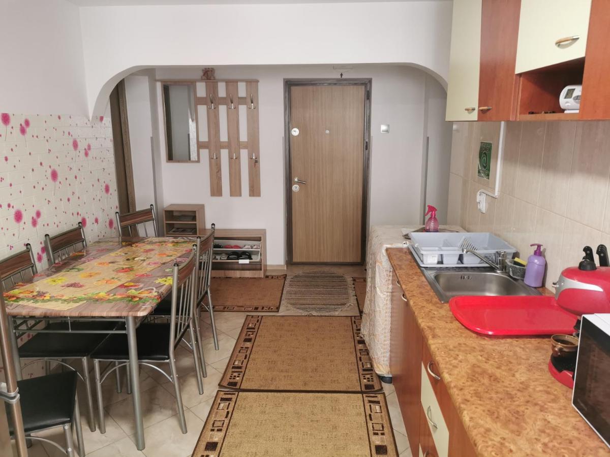 Ferienwohnung Apartament Bucovina Câmpulung Moldovenesc Exterior foto